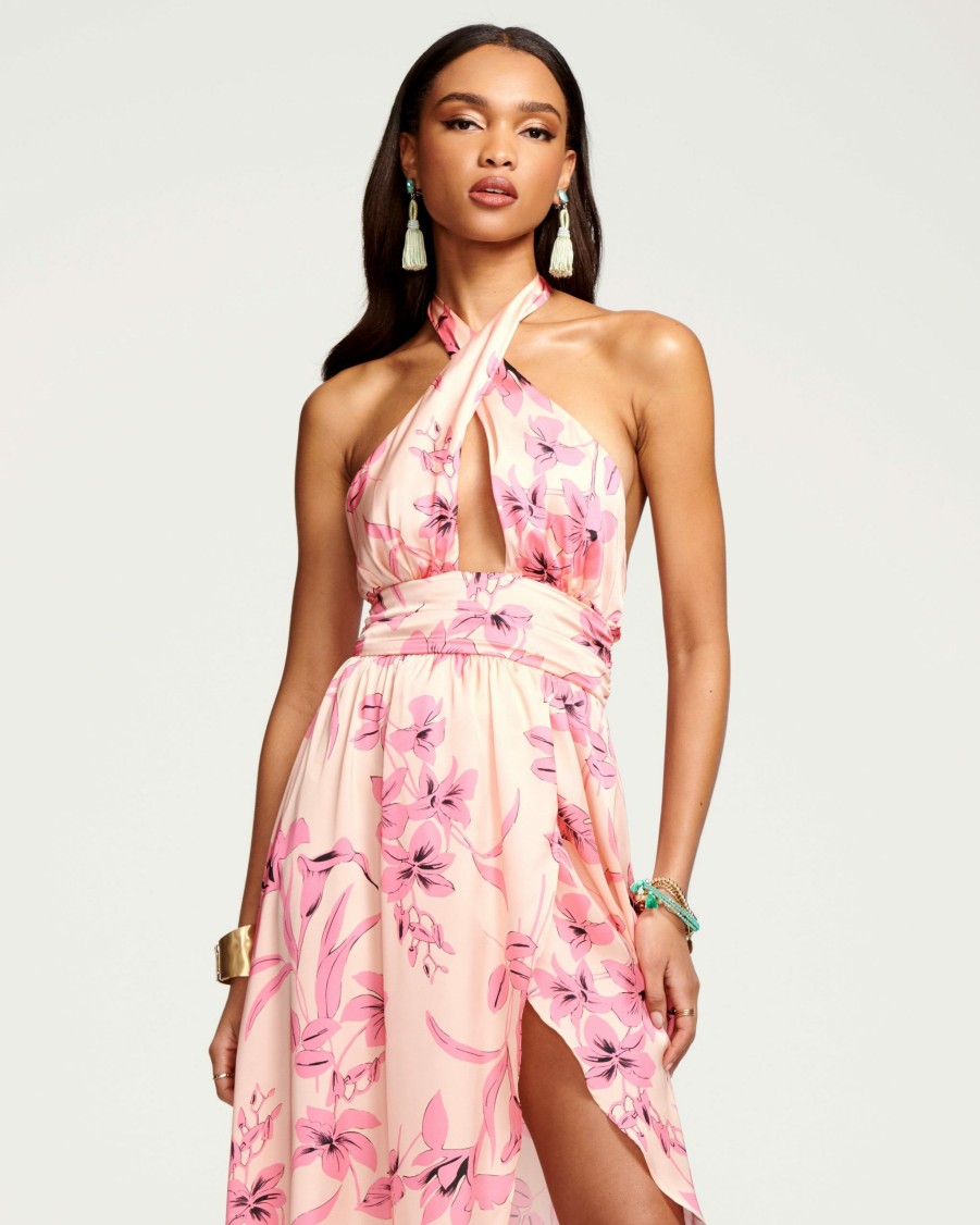 Dresses Ramy Brook | Ramy Brook All New Arrivals Floral Printed Luna Halter Midi Dress Wild Pink